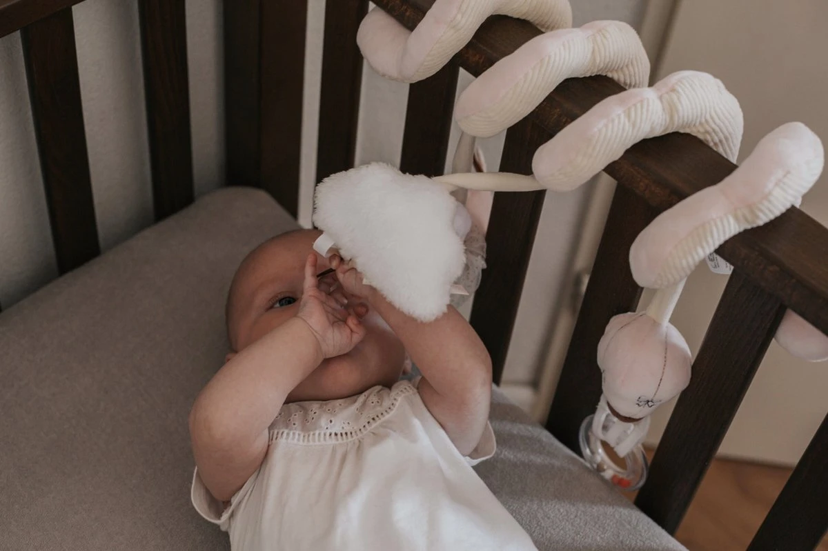 Tryco Zwaan Ivy Boxspiraal TR-243304 - Afbeelding 6